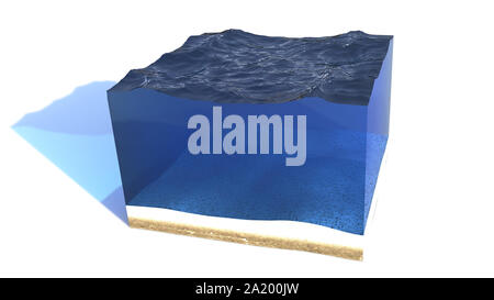 Cross Section Of Clean Ocean Water Isolated On White Background 3D