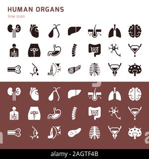 Internal Organs Glyph Icons Set Respiratory Urinary Reproductive