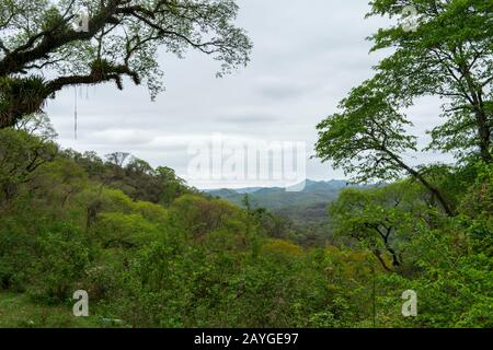 Overview Of The Neotropical Yungas Cloud Forest In The Foothills Of The