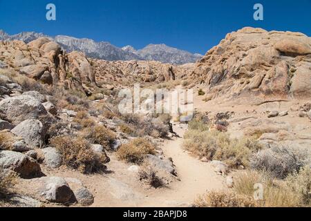 USA California Alabama Hills And Sierra Mountains Near Lone Pine