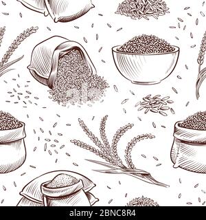 Rice Cereal Ears Vector Seamless Pattern Sketch Hand Drawn