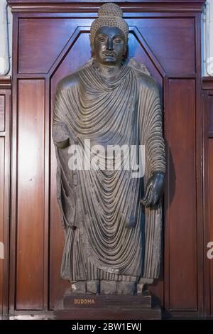 Gandhara Buddha Statue Stone Carving Lahore Museum Lahore Punjab