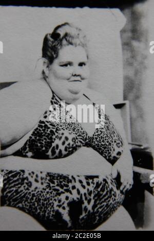 Obese And Overweight Woman Wearing A Bikini And Sunbathing On The Stock