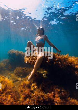 Lady Freediver Posing Underwater At The Deep In Blue Ocean With