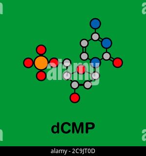 Deoxycytidine Monophosphate DCMP Nucleotide Molecule DNA Building