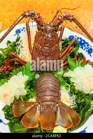 Japanese Spiny Lobster Panulirus Japonicus Von Siebold Stock