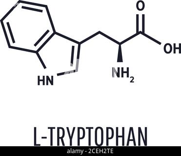 Tryptophan Skeletal Formula And Structure Vector Illustration On White