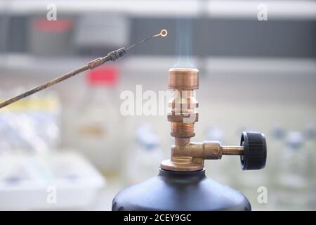 Bunsen Burner Flame Test In The Science Laboratory Clip Flaming A