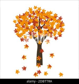 Autumn Maple Tree Leaves On Paper Banner Vector Illustration Stock