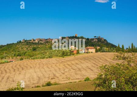 A Patchwork Of Fields Of Olives Trees Near Olvera In Eastern Cadiz