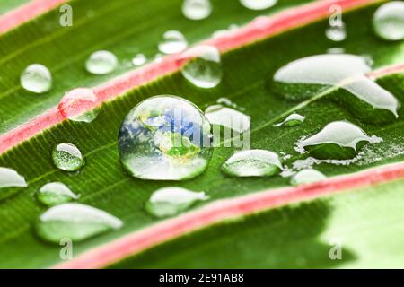 Water Drop On Green Leaf Macro Stock Photo Alamy