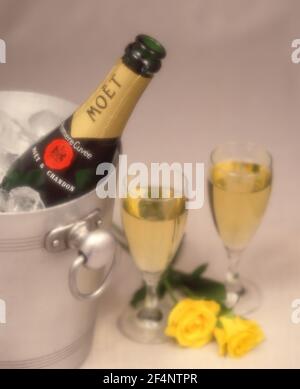 Close Up Of Champagne In Ice Bucket Stock Photo Alamy