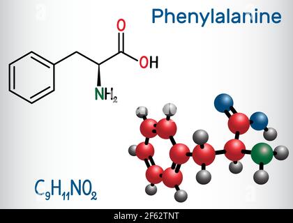 Phenylalanine L Phenylalanine Phe F Amino Acid Molecule Skeletal