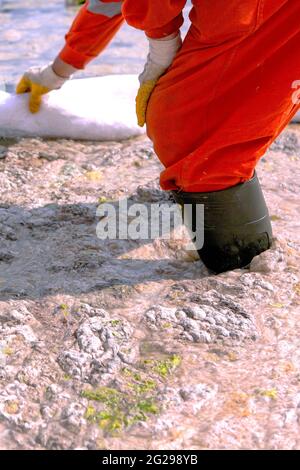 A Worker Cleans Thick Layer Of Sea Snot Also Called Marine Mucilage