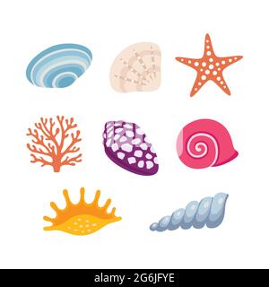 Colorful Tropical Shells Underwater Icon Set Frame Of Sea Shells