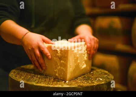 Cheese Master Cutting A Parmesan Cheese Wheel At The Dairy Stock Photo