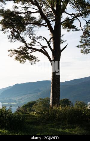 Craigh Na Dun Outlander Filming Location Dunalastair Estate