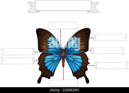 External Anatomy Of A Butterfly Worksheet Illustration Stock Vector