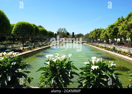 Fountain Pool Garden Of The Christian Kings Cordoba Andalusia Spain