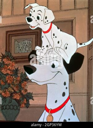 Dalmatians Aka One Hundred And One Dalmatians Ph Steve