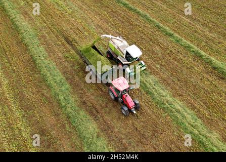 Forage Harvester Durind Grass Cutting For Silage In Field Harvesting