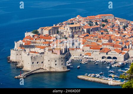 Red Sea Star Adriatic Sea Croatia Europe Stock Photo Alamy