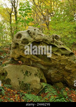 Europe Germany Hesse Vogelsberg Geopark Volcanic Region Vogelsberg Sea