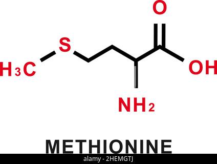 Methionine L Methionine Met M Essential Amino Acid Molecule