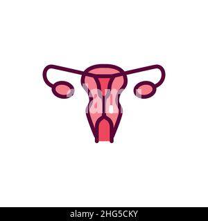 Human Organ Uterus Color Line Icon Isolated Vector Element Outline