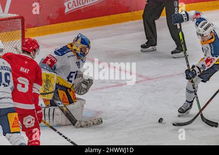 Goalkeeper Leonardo Genoni Ev Zug National League