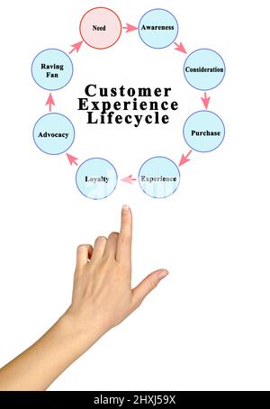 Components Of Customer Experience Lifecycle Stock Photo Alamy