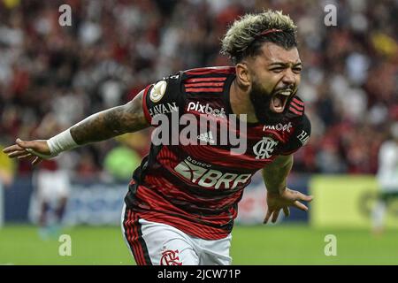 Gabriel Barbosa Do Flamengo Comemora O Seu Gol Durante A Partida Entre