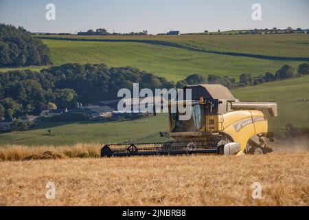 New Holland Track Combine Harvester Stock Photo Alamy