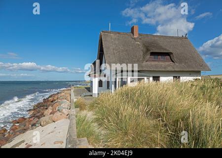 Thatched House At The Beach Fehmarn Sound Bridge Graswarder Peninsula