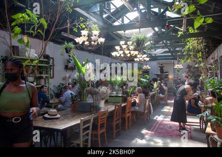 Our Local Restaurant On Kloof Street Cape Town South Africa Stock