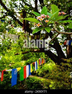 The Tibetan Prayer Flags At Maya Devi Temple The Birthplace Of Gautama