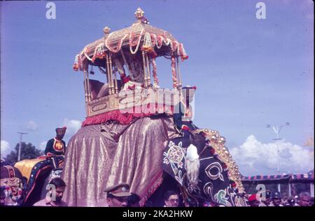 Decorated Elephants At Mysore Dussehra Celebration Or Dasara Festival