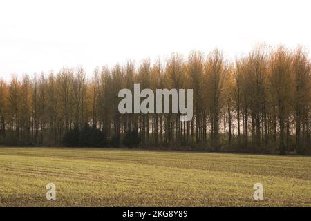 Ploughed Field Oxfordshire UK Stock Photo Alamy