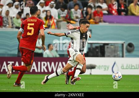 Rodri Of Spain During Spain V Germany Match Of The Fifa World Cup Qatar