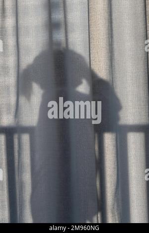 Figure Of A Naked Woman Behind A Transparent Curtain Stock Photo Alamy