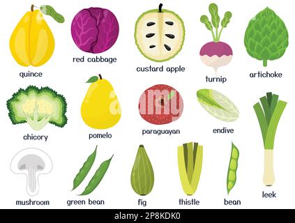 Colorful Fruits And Vegetables Clipart Set Fruit And Vegetable Colored