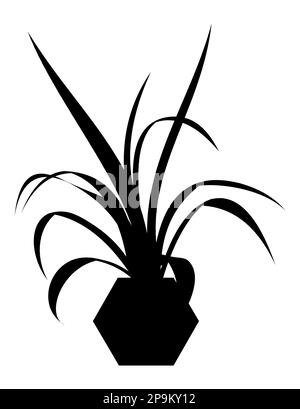 Potted Plant Silhouette Potted Tree Silhouette Indoor Plant