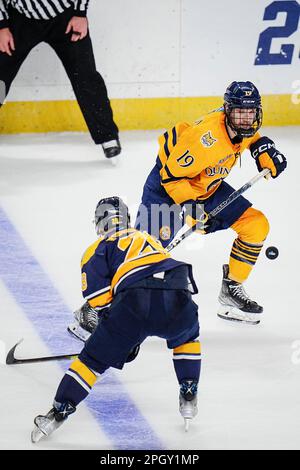 Quinnipiac Bobcats Defenseman TJ Friedmann 19 Prepares To Shoot