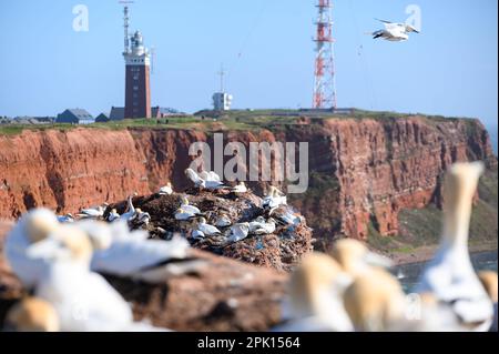 Helgoland Germany 31st Mar 2023 A Warning Sign Reading Caution