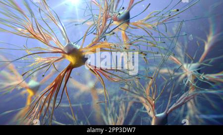 Astrocyte Cells Illustration Stock Photo Alamy