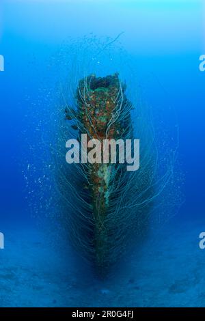 Bow Of Uss Apogon Submarine Marshall Islands Bikini Atoll Micronesia