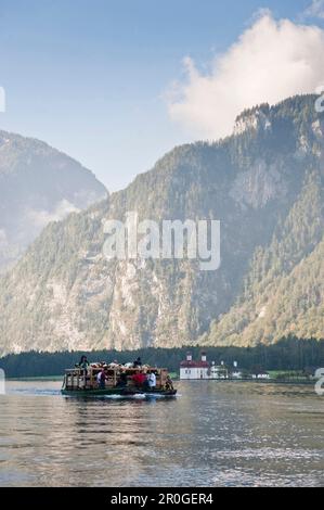 Almabtrieb Konigssee Berchtesgadener Land Upper Bavaria Germany