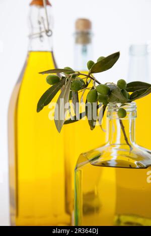 Olive Sprig With Green Olives Foodcollection Stock Photo Alamy