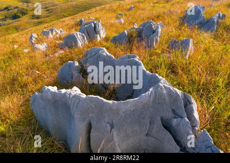 Monument Of Akiyoshi Plateau In Akiyoshidai Quasi National Park In