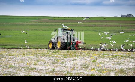 Ploughing In Grassland In Preperation For Reseeding Using A John Deere